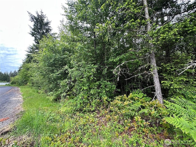 0 Bremgartner Rd, Winlock, WA 98596 - photo 4