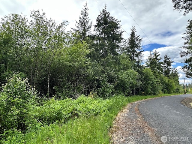0 Bremgartner Rd, Winlock, WA 98596 - photo 1