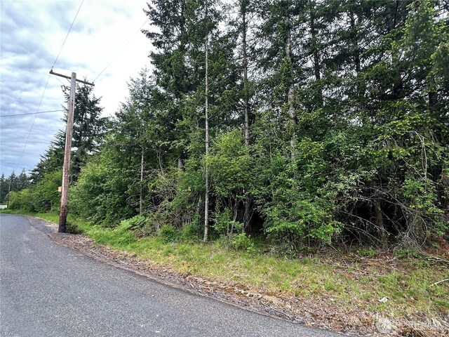 0 Bremgartner Rd, Winlock, WA 98596 - photo 3
