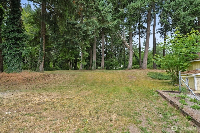 15835 Jade St SE, Yelm, WA 98597 - photo 4