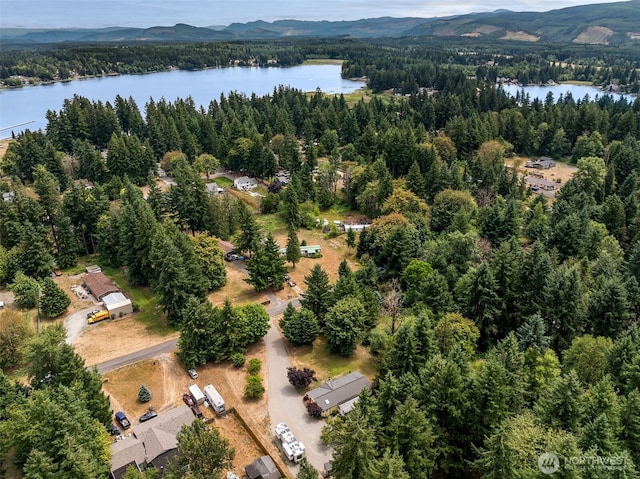 15835 Jade St SE, Yelm, WA 98597 - photo 30