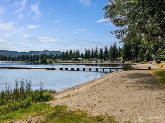 15835 Jade St SE, Yelm, WA 98597 - photo 34