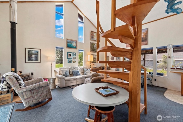 245 Lakeview Ave, Orondo, WA 98843 - living area with a high ceiling, carpet floors, and a wood stove