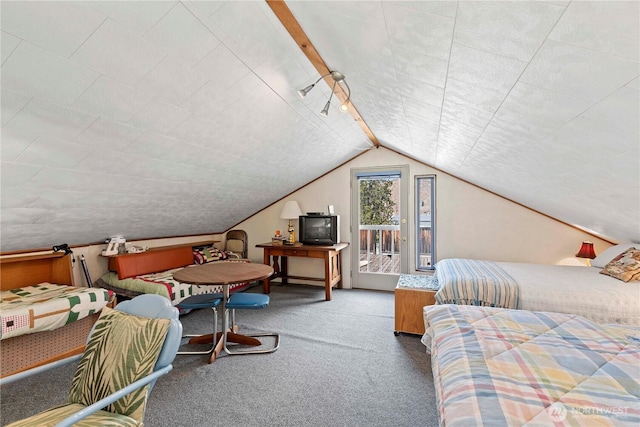 245 Lakeview Ave, Orondo, WA 98843 - carpeted bedroom with access to outside and lofted ceiling