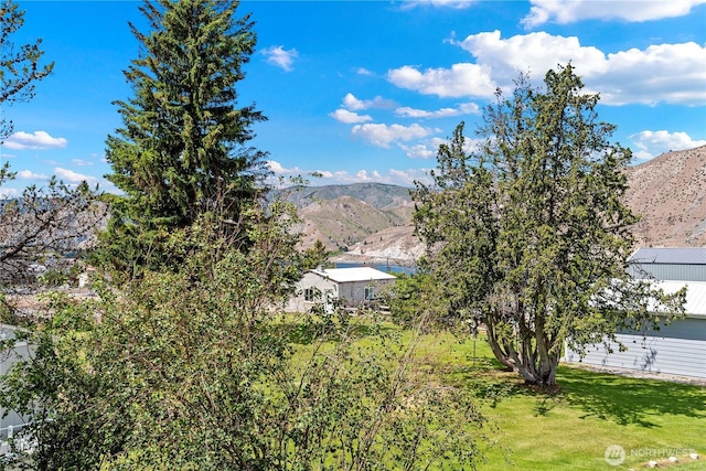 245 Lakeview Ave, Orondo, WA 98843 - mountain view