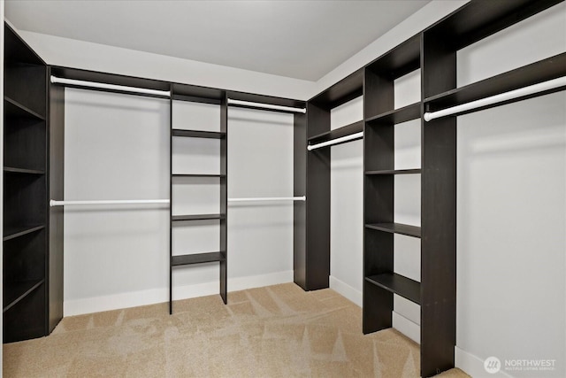 12126NE 106th Pl, Kirkland, WA 98033 - walk in closet featuring carpet flooring
