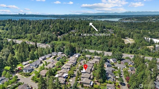 12126NE 106th Pl, Kirkland, WA 98033 - aerial view of property's location featuring a heavily wooded area, a large body of water, and nearby suburban area