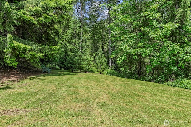 19243 Kiona Rd, Randle, WA 98377 - view of green lawn with a view of trees