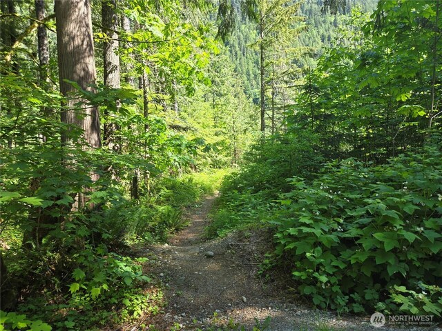 51531 Skyco Dr, Index, WA 98256 - photo 36