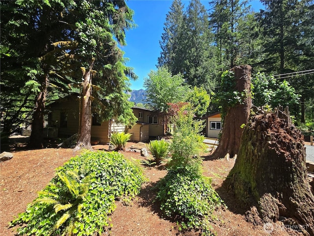 51531 Skyco Dr, Index, WA 98256 - photo 34