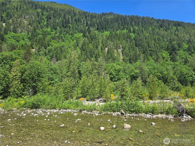 51531 Skyco Dr, Index, WA 98256 - photo 28