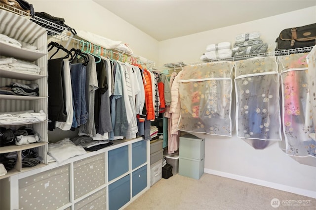 1903 98th Ave SE, Lake Stevens, WA 98258 - walk in closet featuring carpet flooring