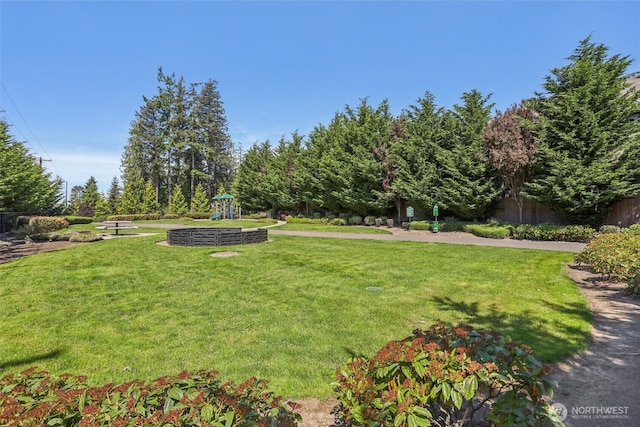 1903 98th Ave SE, Lake Stevens, WA 98258 - view of yard