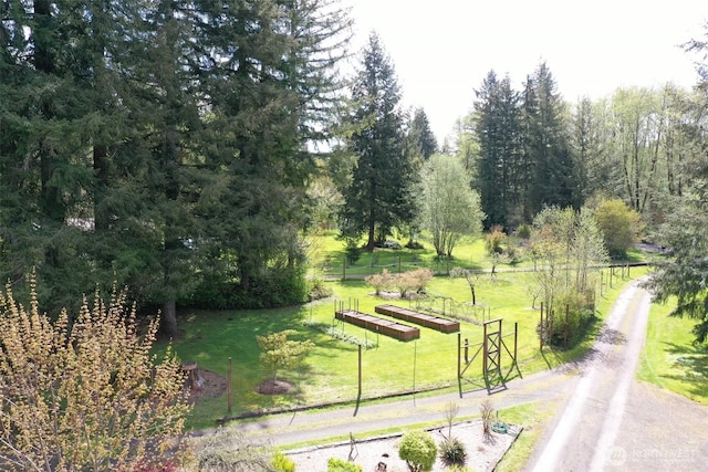 191 Calvin Rd, Cinebar, WA 98533 - photo 10