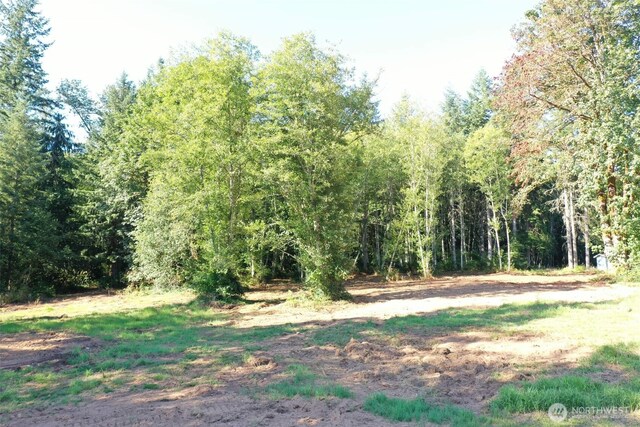191 Calvin Rd, Cinebar, WA 98533 - photo 21