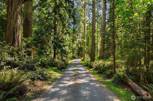 4486 E Harbor Rd, Freeland, WA 98249 - view of road with a forest view