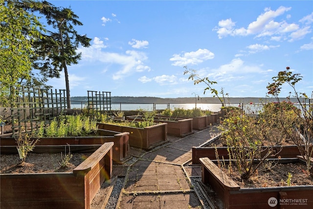 4486 E Harbor Rd, Freeland, WA 98249 - view of patio featuring a water view and a vegetable garden