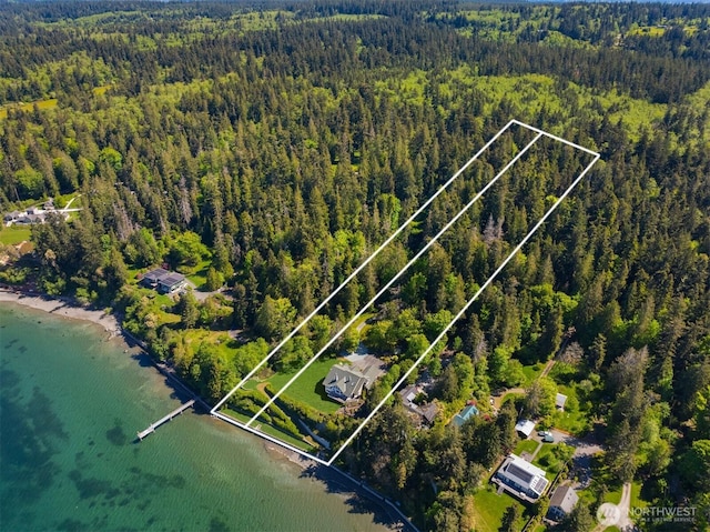 4486 E Harbor Rd, Freeland, WA 98249 - aerial view of property and surrounding area featuring a heavily wooded area, property boundaries highlighted, and a nearby body of water