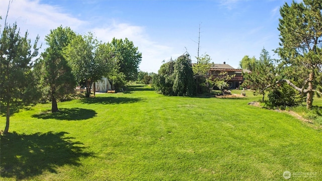 842 W Langdon Rd, Walla Walla, WA 99362 - view of grassy yard