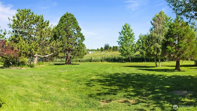 842 W Langdon Rd, Walla Walla, WA 99362 - view of grassy yard