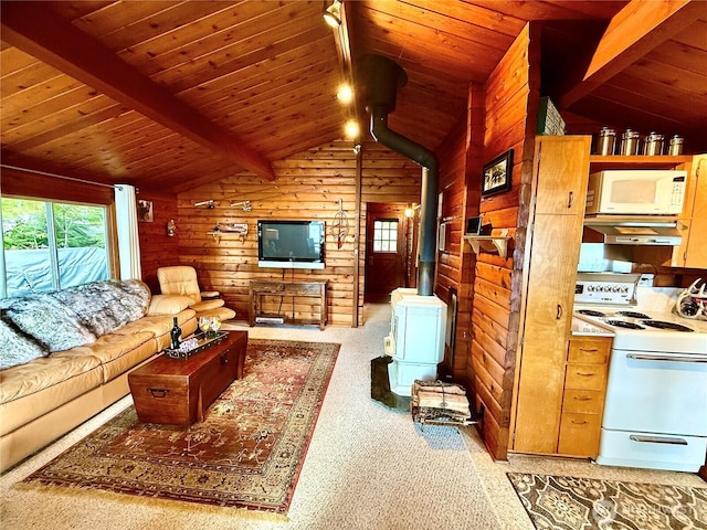 71 N Potlatch Dr N, Hoodsport, WA 98548 - living area with a wood stove, wood walls, wooden ceiling, and carpet