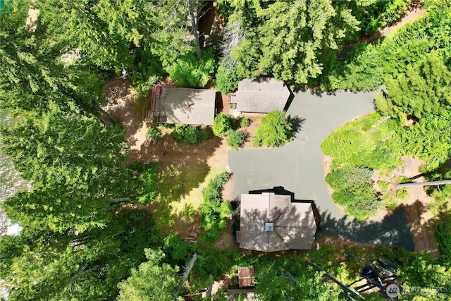 71 N Potlatch Dr N, Hoodsport, WA 98548 - bird's eye view