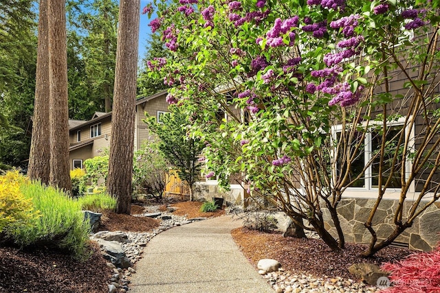 12514 NE 65th St, Kirkland, WA 98033 - photo 4