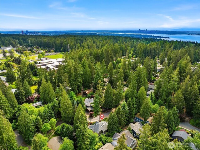 12514 NE 65th St, Kirkland, WA 98033 - photo 40