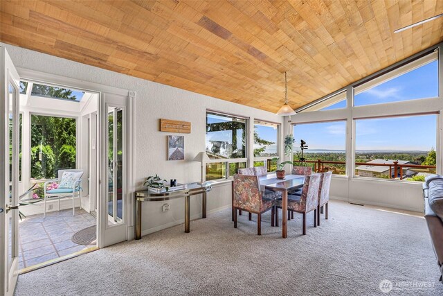 3026 E Alpine Dr, Bellingham, WA 98226 - sunroom with wooden ceiling, healthy amount of natural light, lofted ceiling, and carpet flooring