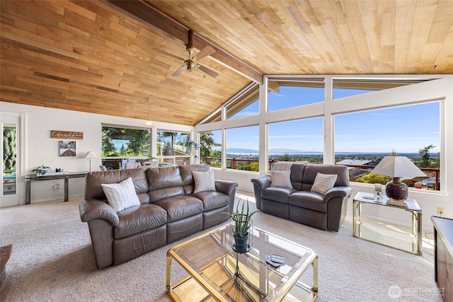 3026 E Alpine Dr, Bellingham, WA 98226 - living room with wood ceiling, carpet, and a ceiling fan