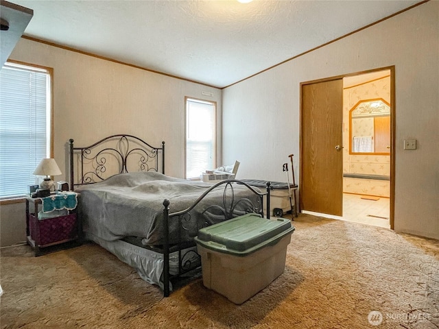31600 126th Ave SE Unit 129, Auburn, WA 98092 - carpeted bedroom with lofted ceiling, ornamental molding, connected bathroom, and a textured ceiling