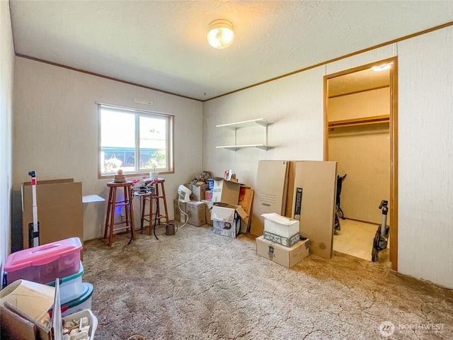 31600 126th Ave SE Unit 129, Auburn, WA 98092 - miscellaneous room featuring ornamental molding, carpet flooring, and a textured ceiling