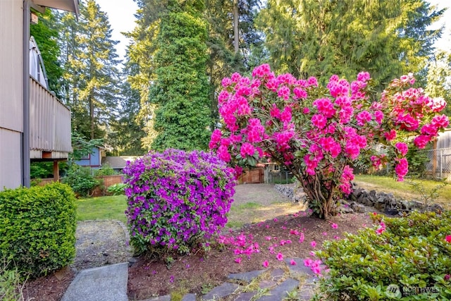 10908 151st St E, Puyallup, WA 98374 - view of yard
