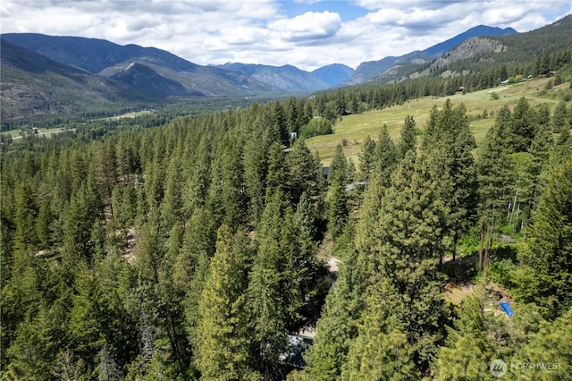 98 Homestead Rd, Winthrop, WA 98862 - view of mountain background with a forest