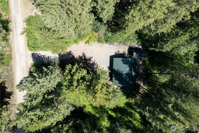 98 Homestead Rd, Winthrop, WA 98862 - aerial overview of property's location
