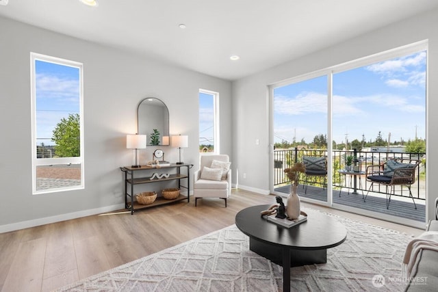 15726 40th Ave W Unit B1, Lynnwood, WA 98087 - living area with wood finished floors, baseboards, and recessed lighting