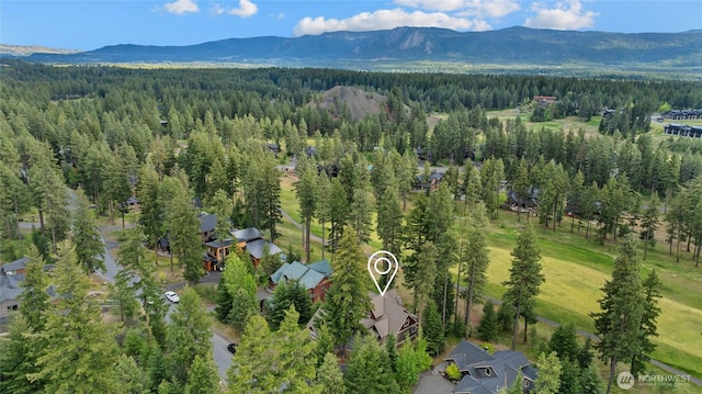 2101 Coal Mine Way, Cle Elum, WA 98922 - bird's eye view of a heavily wooded area and a mountain backdrop