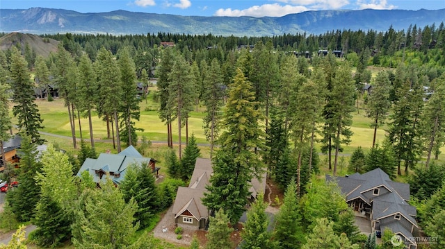 2101 Coal Mine Way, Cle Elum, WA 98922 - drone / aerial view of a mountainous background and a forest