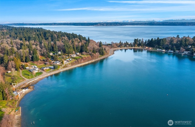 8811 SW Quartermaster Dr, Vashon, WA 98070 - aerial view of property and surrounding area featuring a water and mountain view and a heavily wooded area