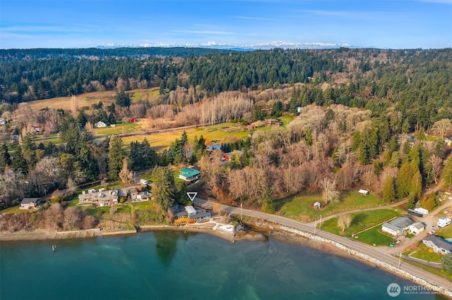 8811 SW Quartermaster Dr, Vashon, WA 98070 - aerial view of property's location featuring a forest and a nearby body of water