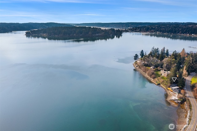 8811 SW Quartermaster Dr, Vashon, WA 98070 - drone / aerial view of a large body of water and a forest