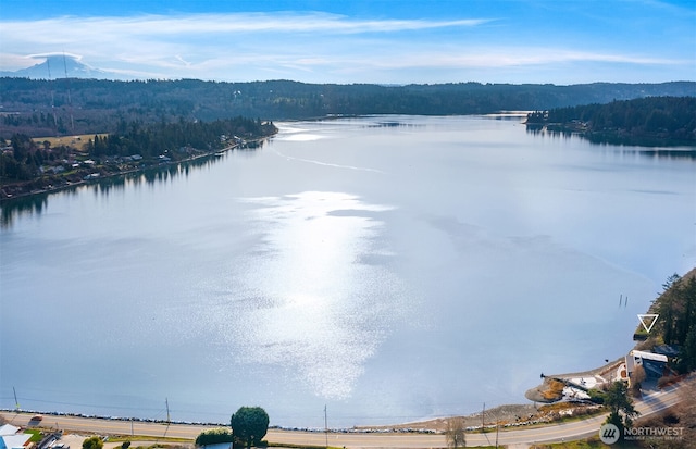 8811 SW Quartermaster Dr, Vashon, WA 98070 - water view featuring a forest