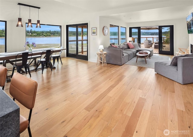8811 SW Quartermaster Dr, Vashon, WA 98070 - living room featuring light wood-style floors and french doors