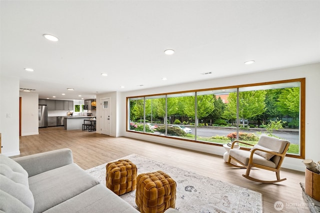 2228 Cinkovich St, Enumclaw, WA 98022 - living area featuring recessed lighting and light wood-style flooring