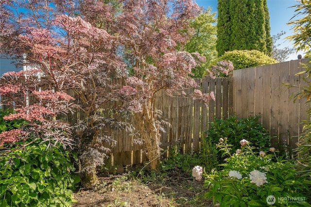 8459 Catalina Ct, Blaine, WA 98230 - view of yard