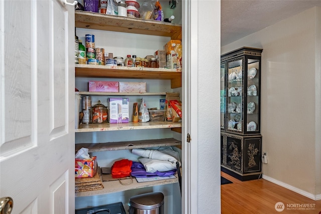 8459 Catalina Ct, Blaine, WA 98230 - view of pantry