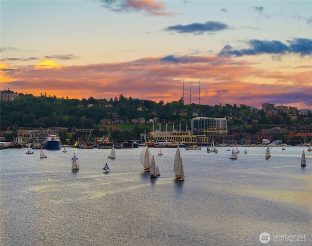 2466 Westlake Ave N Unit 5, Seattle, WA 98109 - view of property's community with a water view