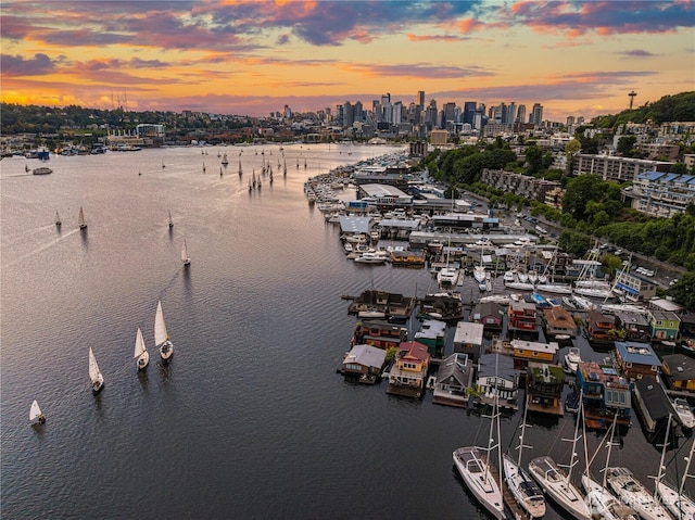 2466 Westlake Ave N Unit 5, Seattle, WA 98109 - water view with skyline