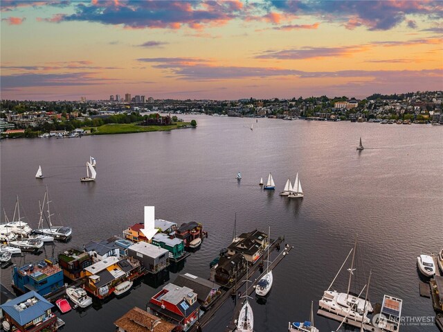 2466 Westlake Ave N Unit 5, Seattle, WA 98109 - water view
