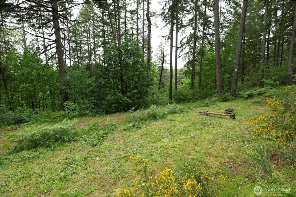 4036 Thornton Rd SE, Olympia, WA 98513